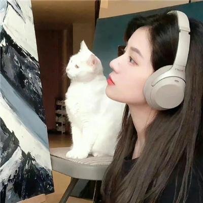 蒙特利流行音乐